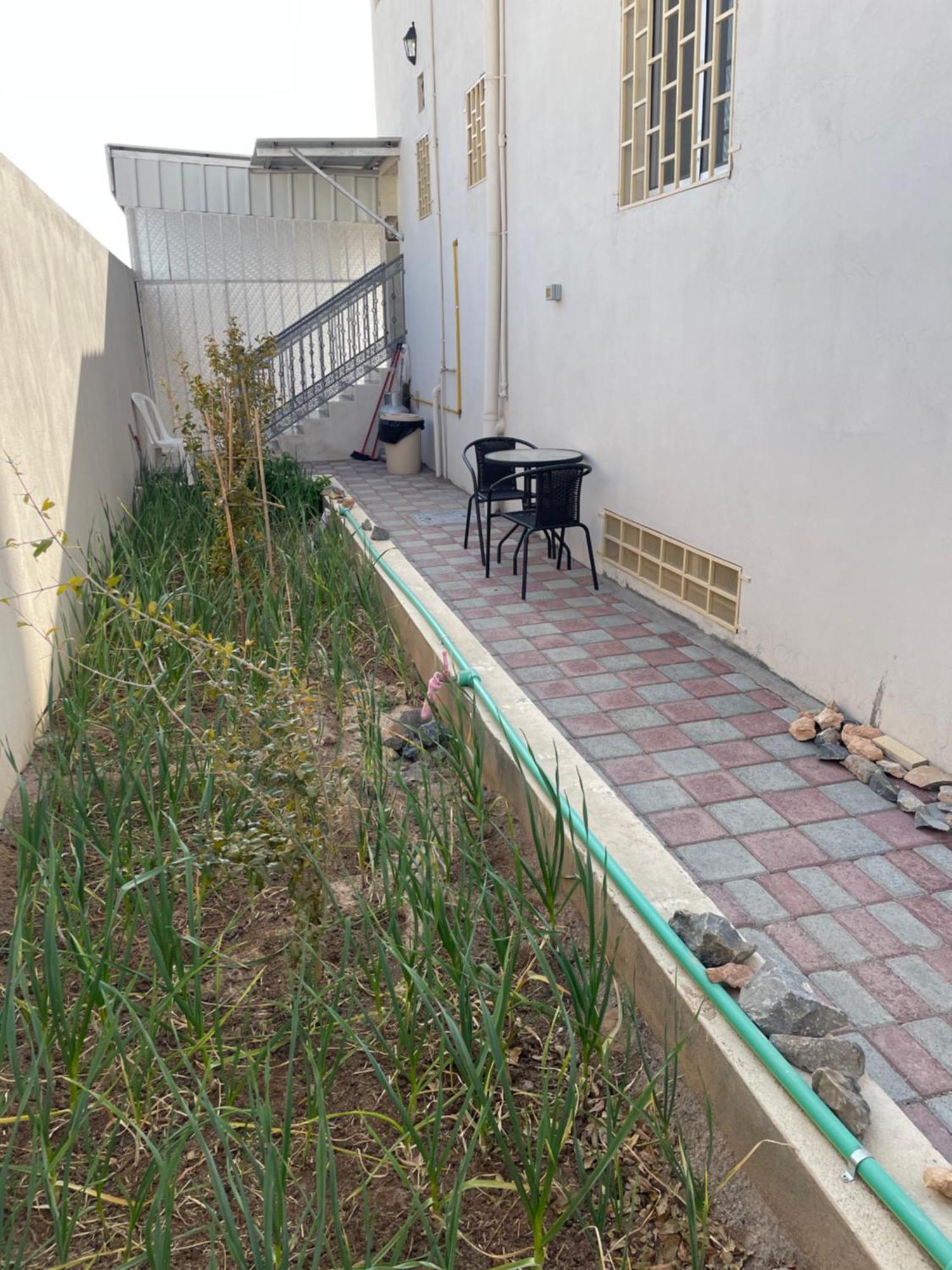 Apartment In Bayt Al Jabal شقة في بيت الجبل Sayq Ngoại thất bức ảnh